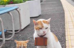 开云体育-鏖战与新生，当拉沃尔杯的史诗对抗，遇上联合杯的变革号角—阿尔卡拉斯横空出世