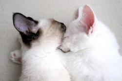 开云体育平台APP-伦敦的暗火，当室内硬地吞没百年草地的荣光