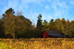 开云体育入口-守护与破局，库尔图瓦神级爆发，阿根廷式战术如何扼住AC米兰的咽喉
