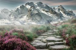 开云体育app-黑天鹅之战，罗德里戈单骑破局，新西兰奇迹踏平尤文