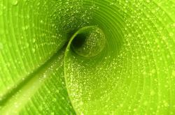 开云sport-皇马使者！萨卡单点打爆波兰整条防线，却亲手送波兰晋级