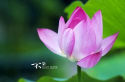 开云体育中国-时空裂缝下的绿茵童话，恩佐的锁链与米兰的红色逆流