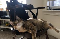 开云sport-逆流之夜，当快船沉没于底特律，戴维斯在洛杉矶竖起桅杆