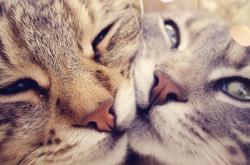 开云体育登录-冰与火之歌，英格拉姆48分史诗级表演，浙江队战术完胜轻取马刺