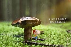 开云体育官网-冰与火的赞歌，当北京的锁链缠上密尔沃基，凤凰城的烈焰焚尽丹佛