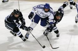 开云sport-夜色中的翡冷翠，萨内一剑封喉，照亮佛罗伦萨的意甲征途