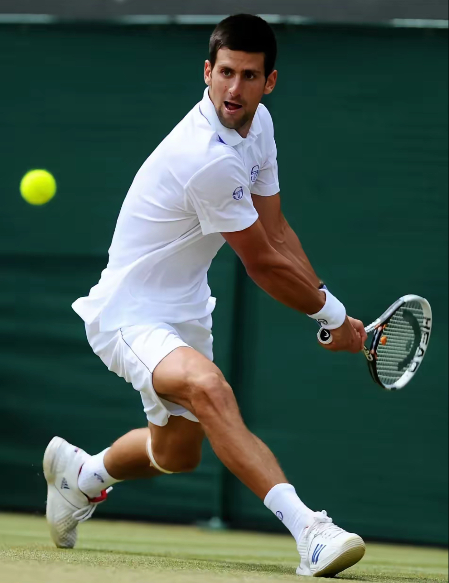 包含意大利网球队绝地反击法国网球队,德约科维奇统治全场的词条 包含意大利网球队绝地反击法国网球队,德约科维奇统治全场的词条