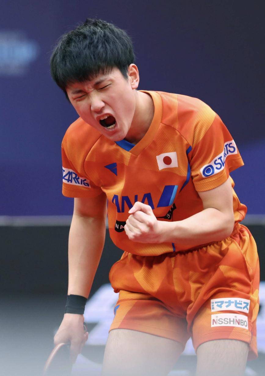 法国乒乓球队强势比利时乒乓球队,张本智和高光表现的简单介绍 法国乒乓球队强势比利时乒乓球队,张本智和高光表现的简单介绍