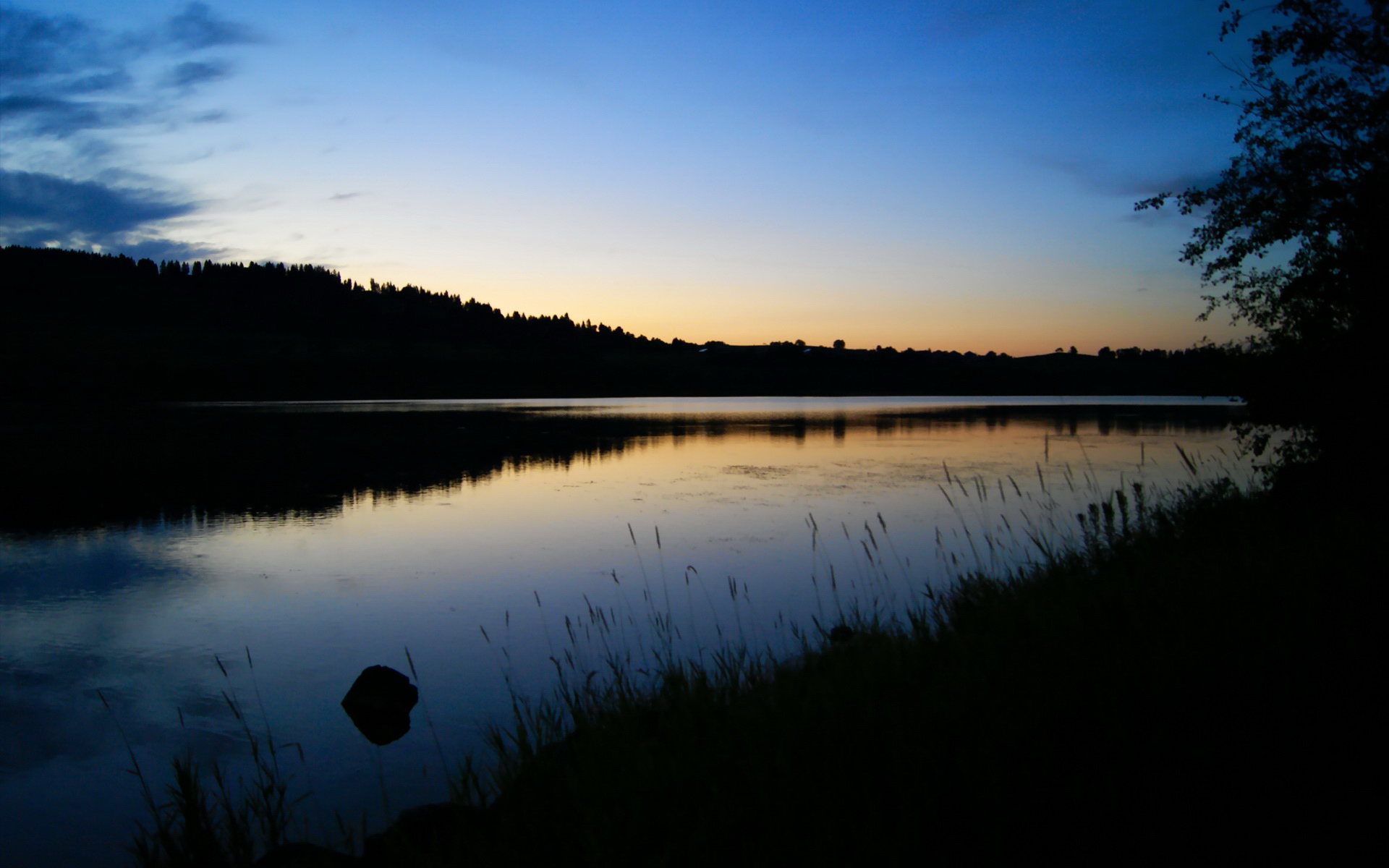 冰火两重天，法国队碾压国乒背后，张本智和何以成抗中孤勇者？