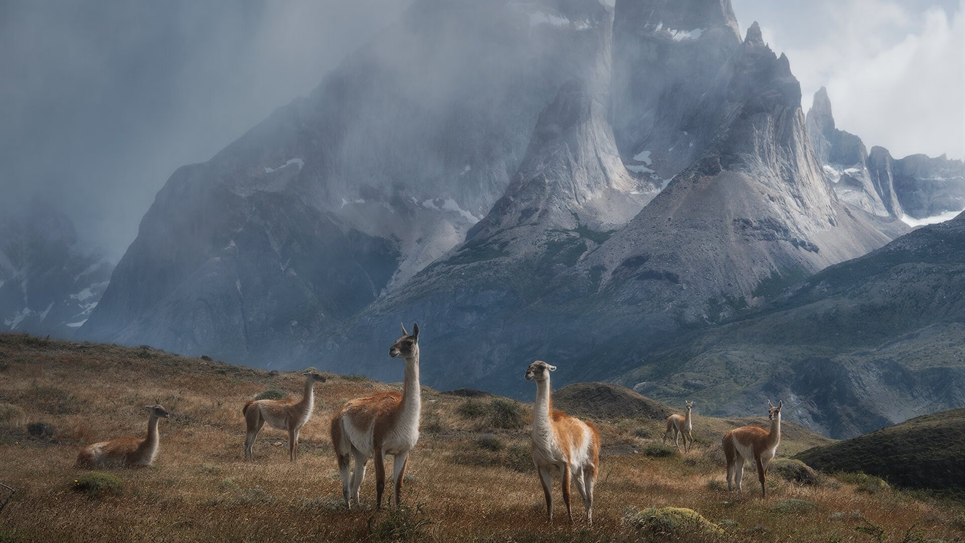 双城记,冰场上的铁血军团与羽球场上的孤胆英雄