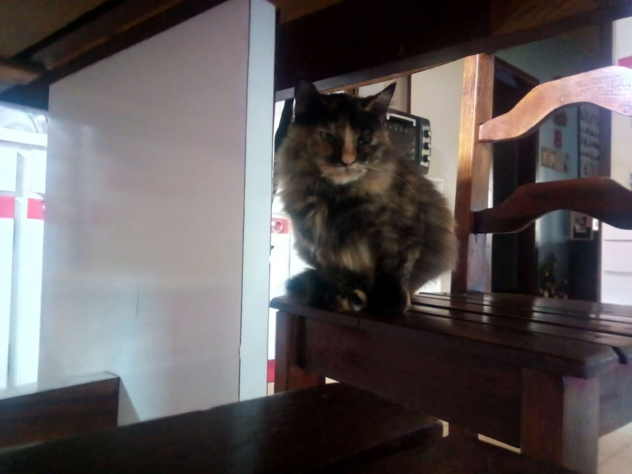 双星映天山！雷霆险胜新疆队之夜，孙铭徽刷新纪录燃爆绝杀时刻