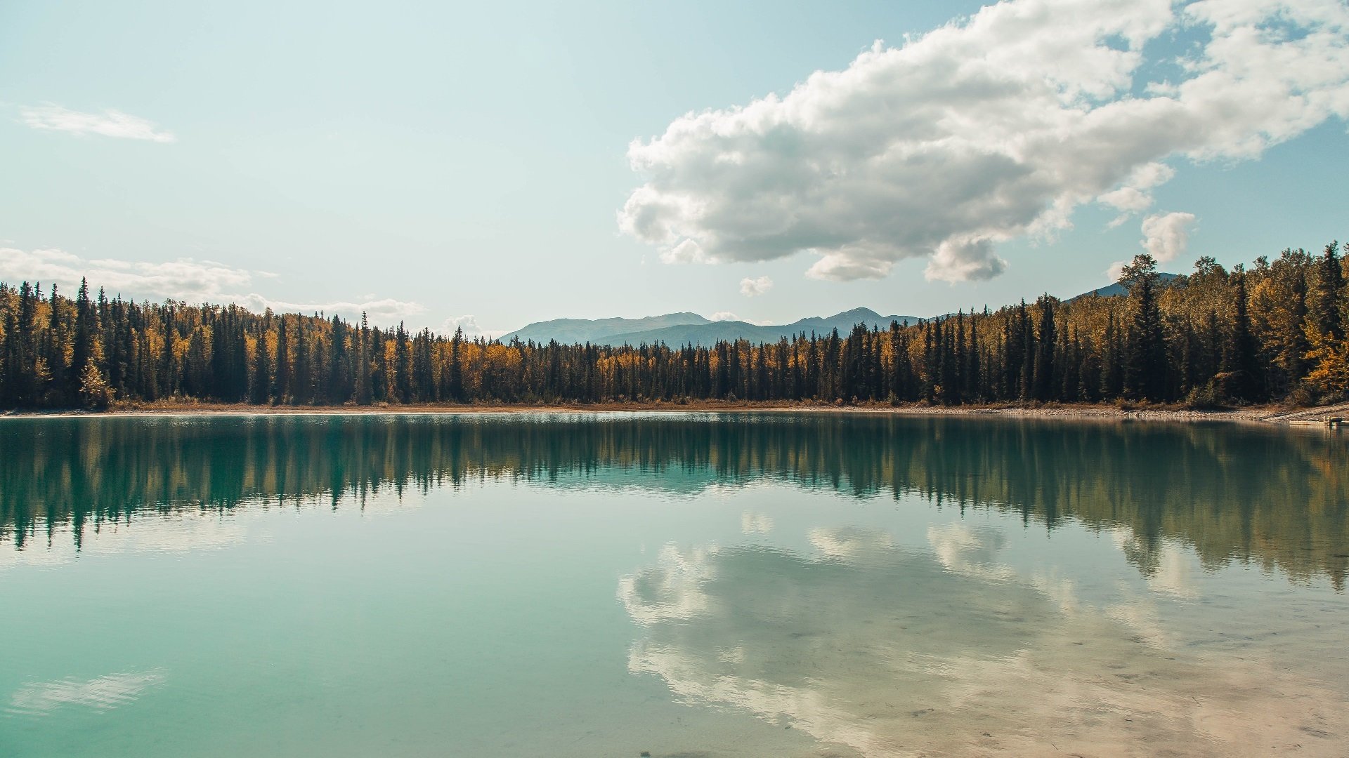 虚假双红会？福登满分征服安联，当曼城太子引爆拜仁红军间的终局想象