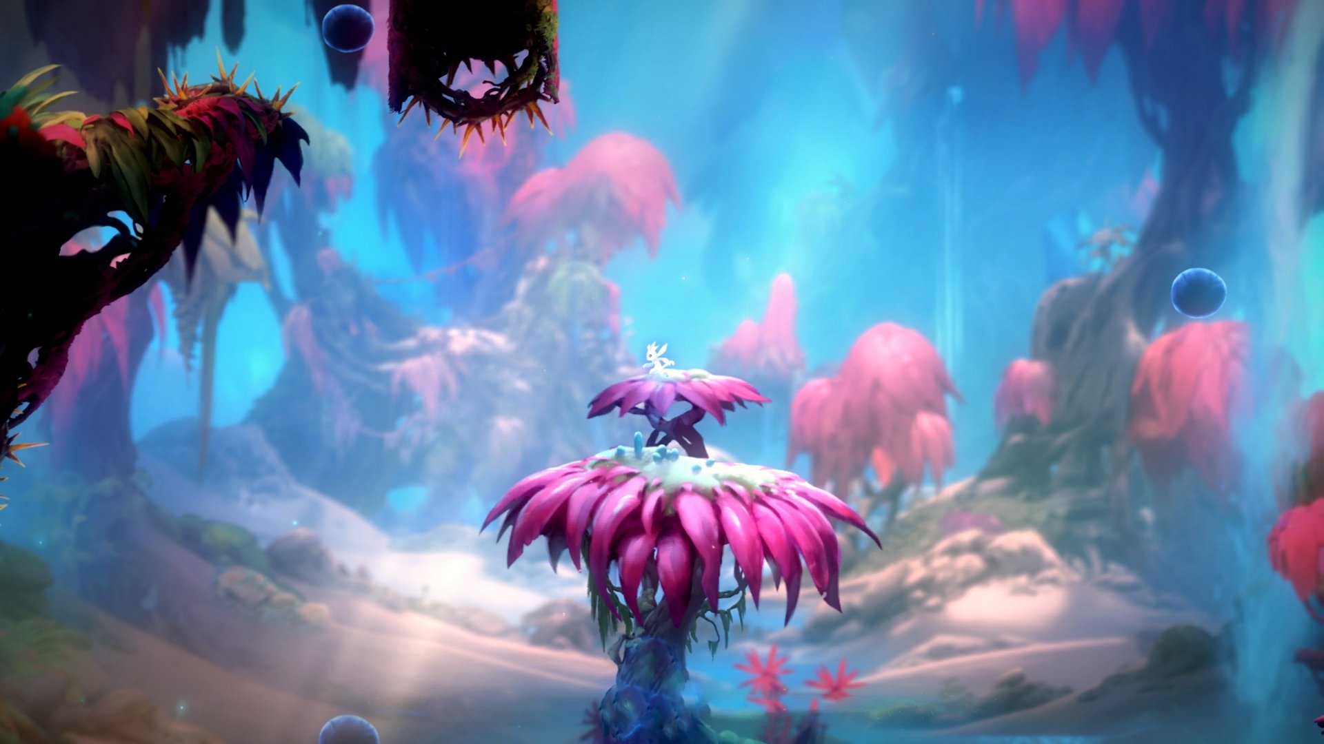 锋芒初露!鹈鹕新星米切尔在焦点新星之争中证明身价