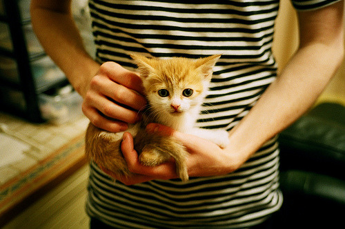 秩序打破者，当牙买加冲垮丹麦防线，与基耶萨接管欧冠之夜