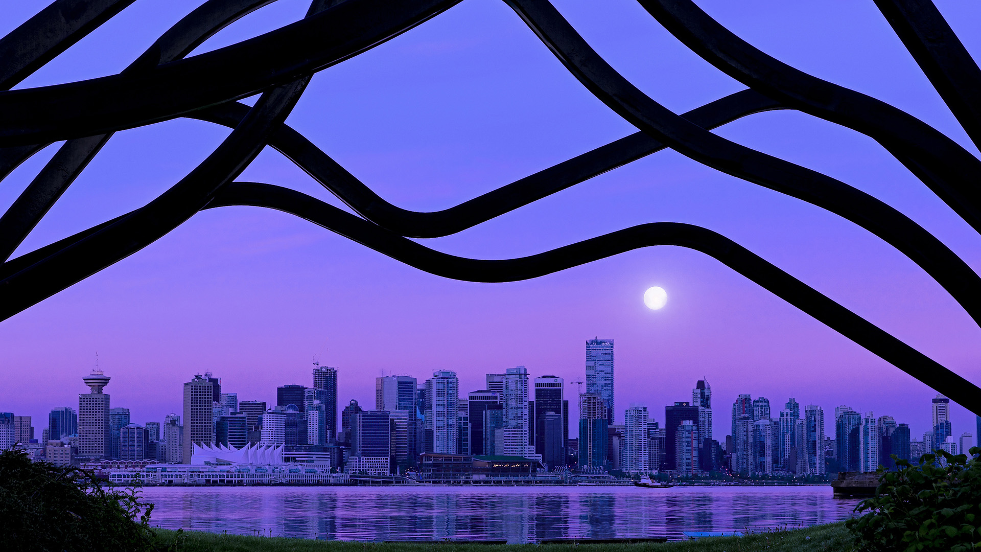 夜幕下的征服者，浙江男篮与F1赛车手的平行叙事