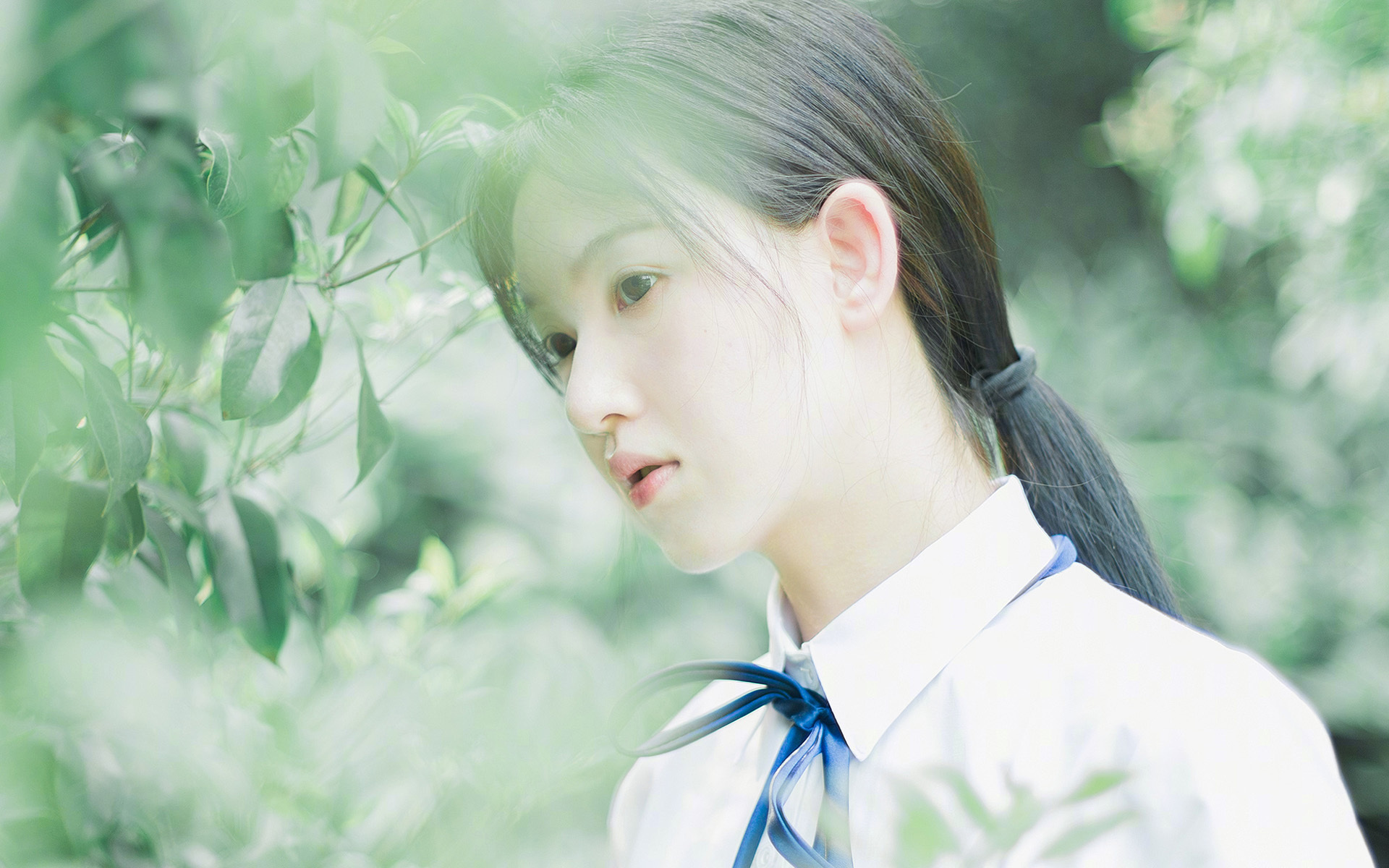 当布莱顿的节拍器遇见日本队的手术刀—攻防转换中的东方智慧与西方哲学