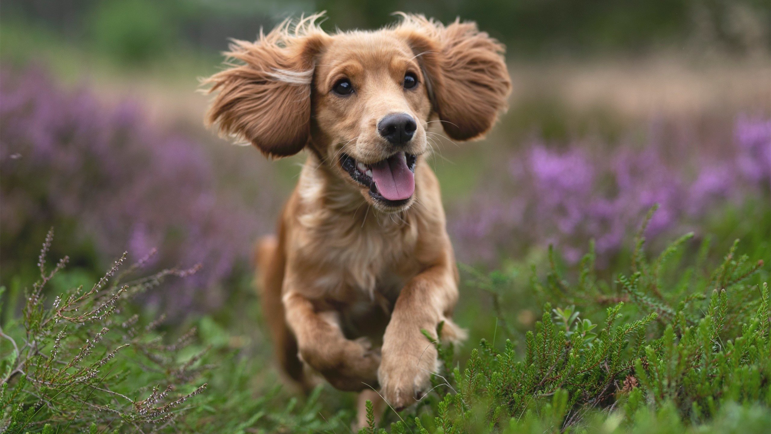 欧冠决赛史上的奇迹,乌拉圭国家队稳稳拿下莱比锡红牛