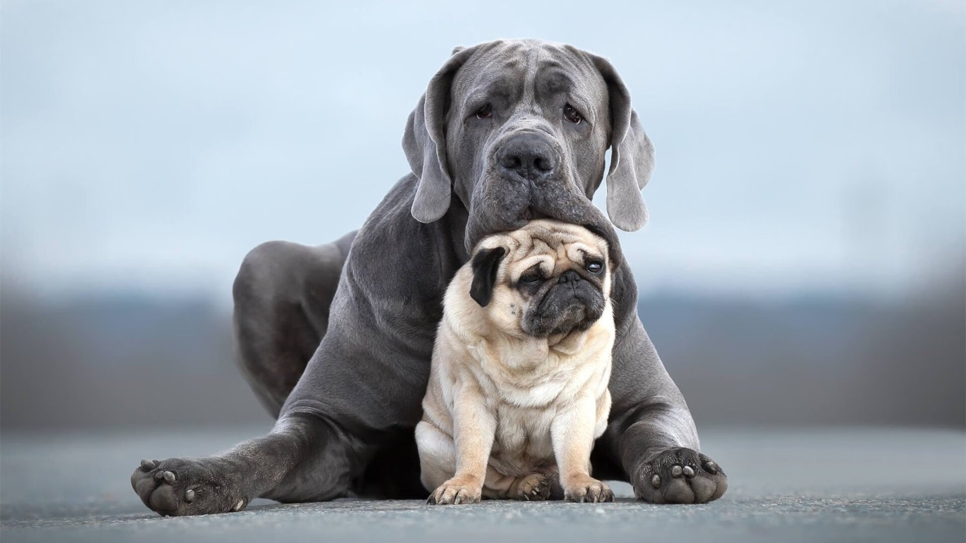 从哈弗茨的救赎到秘鲁的节奏,绿茵场上的个体与集体叙事