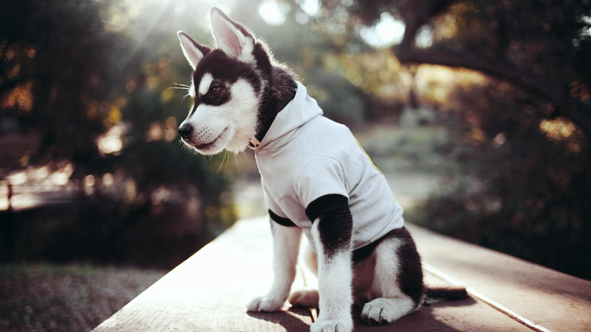 绝境翻盘!利拉德末节接管比赛,国王送爵士耻辱逆转