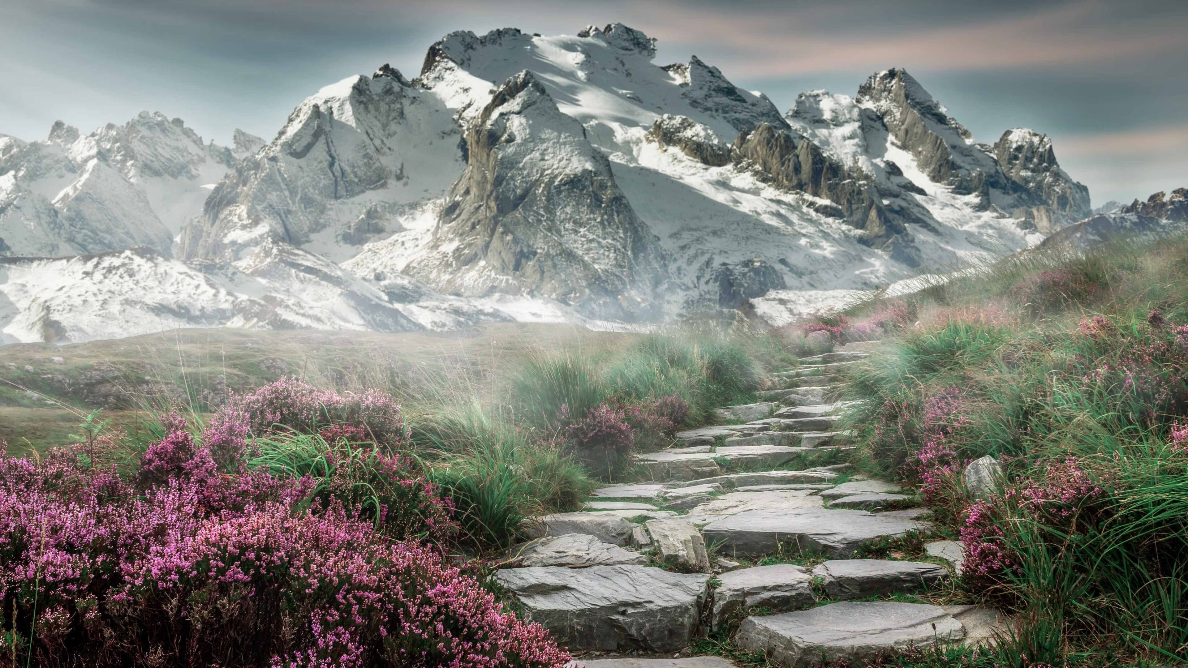 铁壁防守+闪电反击!尼日利亚终结巴西不败神话,阿坎吉百场建功