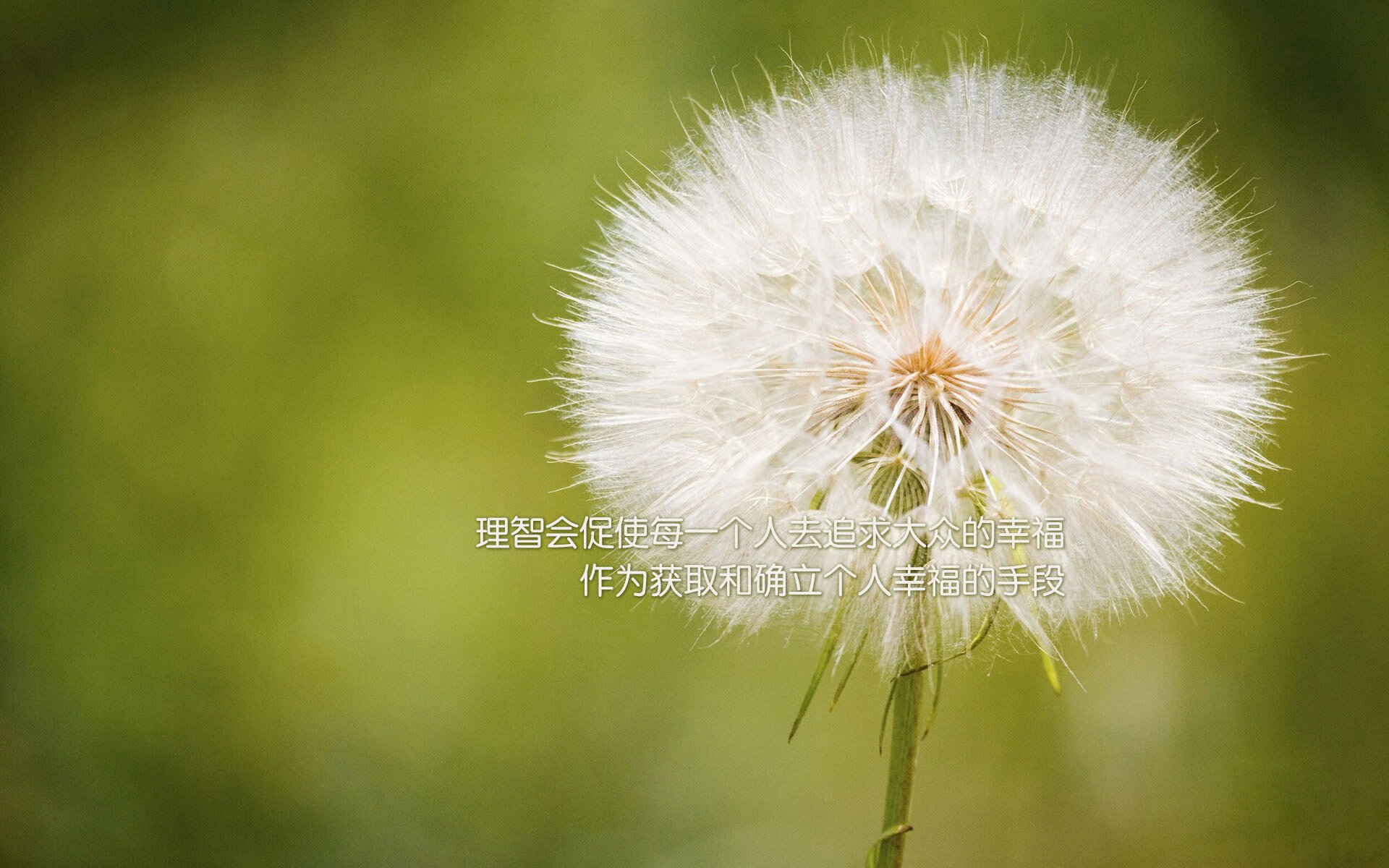 当爵士的慢板乐章冻结篮网快攻风暴,一场虚构西决的节奏生死战