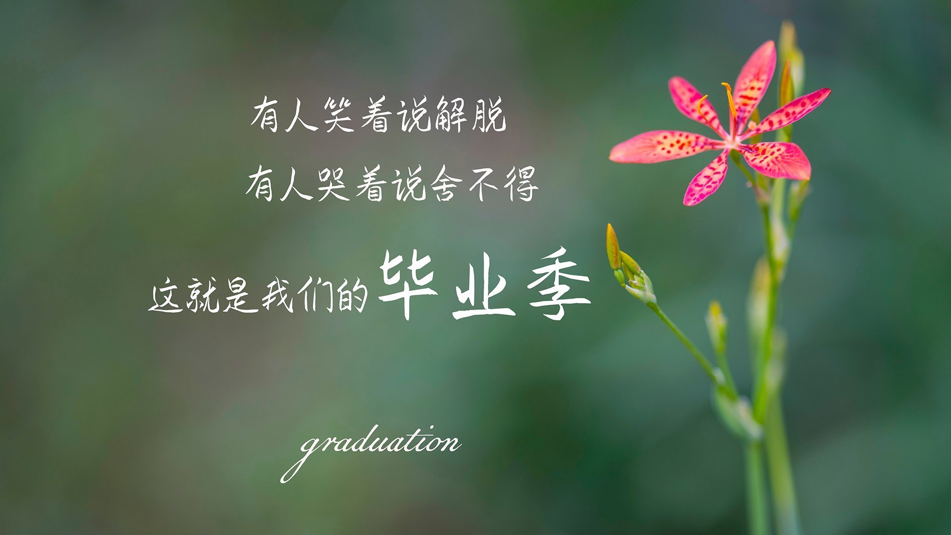 孟买的黄昏，塔雷米一剑封喉，印度足球在2026世界杯G组关键战中险胜英格兰